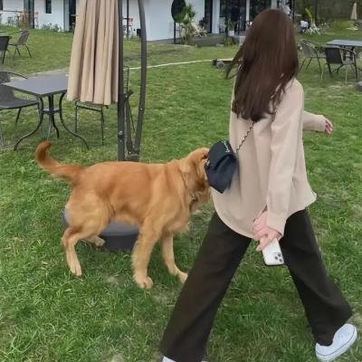 齐木楠雄的灾难第一季